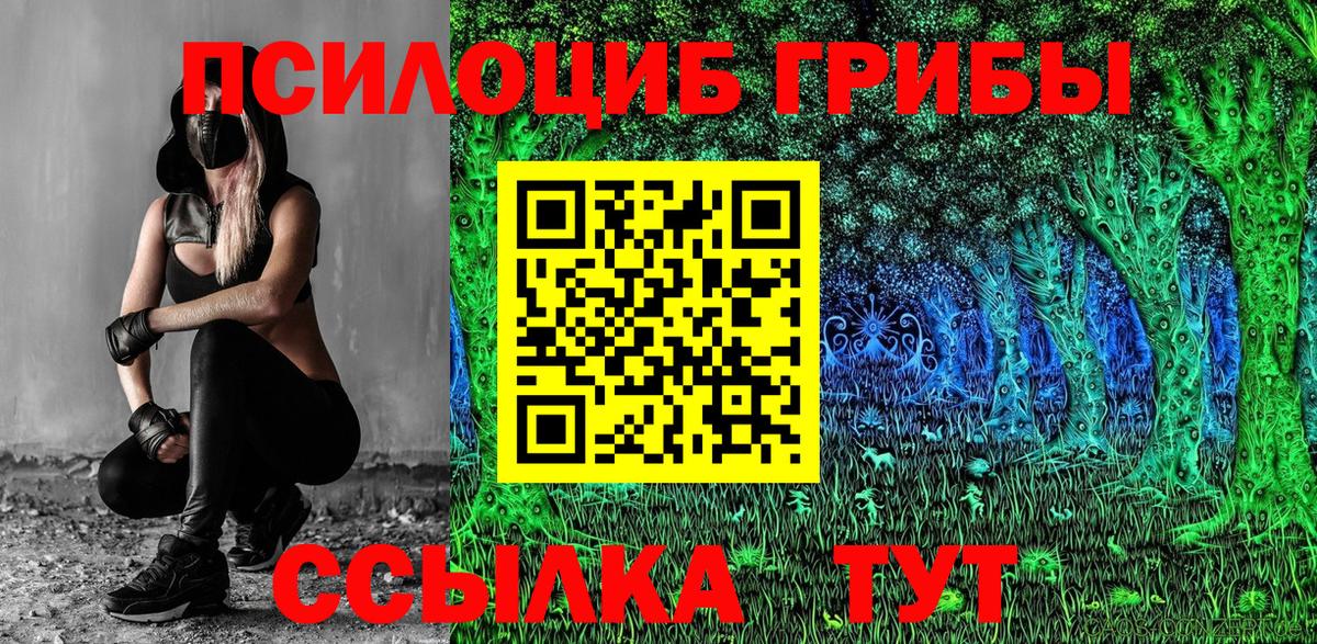 Черкесск  Галлюциногенные грибы Psilocybe  Псилоцибиновые грибы Cubensis  купить наркоту  Вход с VPN 